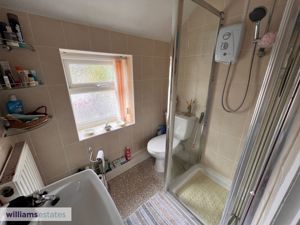 Arfryn Shower Room